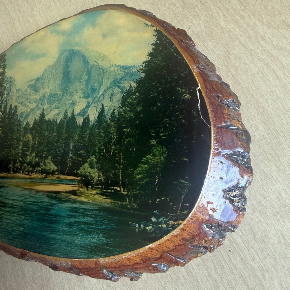 50 Special Plaque Yosemite Wood Slice Wall Art Half Dome Good 8.75in x 7.25in - Picture 7 of 10